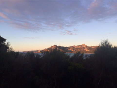 Morning Mist - Tourism Gold Coast 4