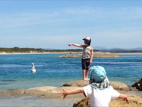 North East River Camping Ground - Tourism Gold Coast 0