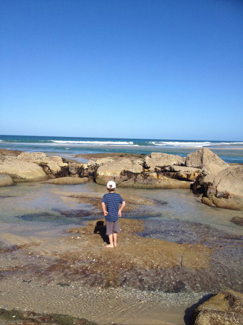 North East River Camping Ground - Tourism Gold Coast 1