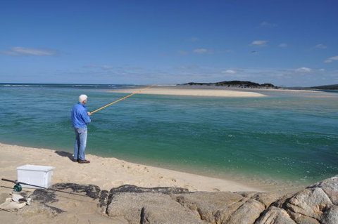 North East River Camping Ground - Tourism Gold Coast 4