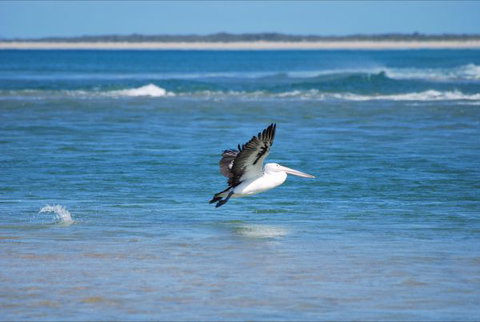North East River Camping Ground - Tourism Gold Coast 5