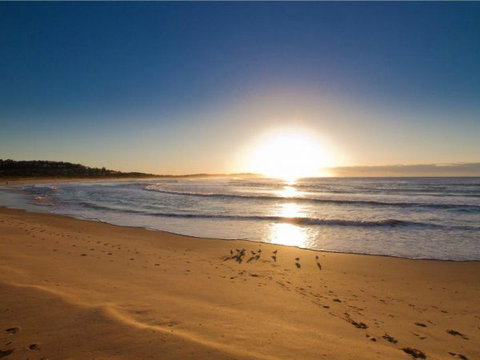 Oaks Apartment At Dee Why Beach - Tourism Gold Coast 0