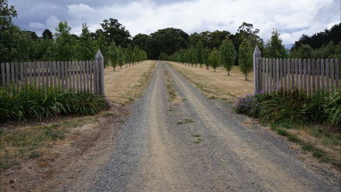 Oakhill Cottage - Tourism Gold Coast 7
