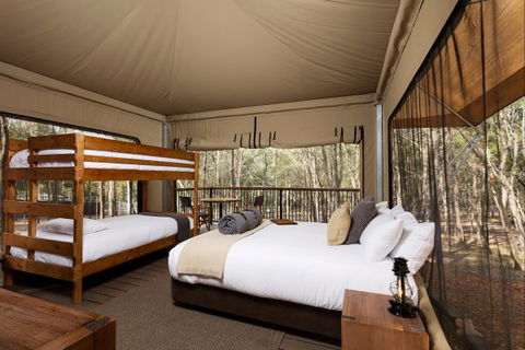 Paradise Country Farmstay - Tourism Gold Coast 3