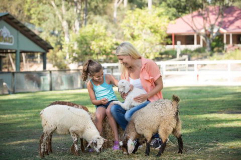 Paradise Country Farmstay - Tourism Gold Coast 6