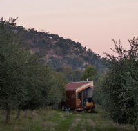 Shacky in the Olive Grove - Tourism Gold Coast