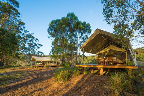 Tanja Lagoon Camp - Tourism Gold Coast 0