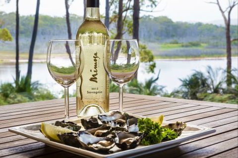 Tanja Lagoon Camp - Tourism Gold Coast 3