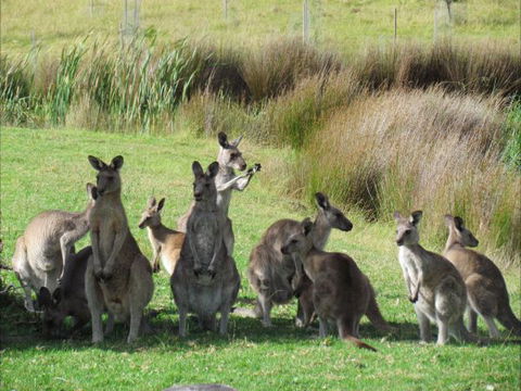 Tanja Lagoon Camp - Tourism Gold Coast 6