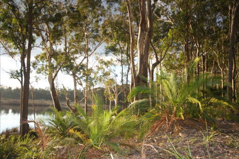 Tanja Lagoon Camp - Tourism Gold Coast 7