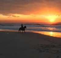 Tassiriki Ranch Beach Horse Riding and Holiday Cabins - Tourism Gold Coast
