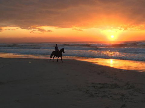 Tassiriki Ranch Beach Horse Riding And Holiday Cabins - Tourism Gold Coast 0