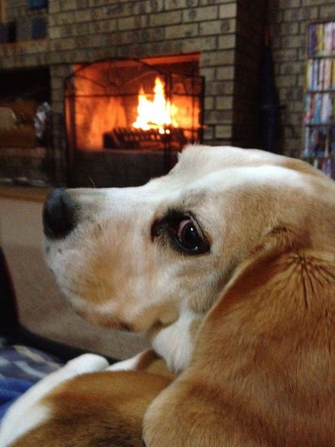 The Retreat On Matthew - Tourism Gold Coast 2