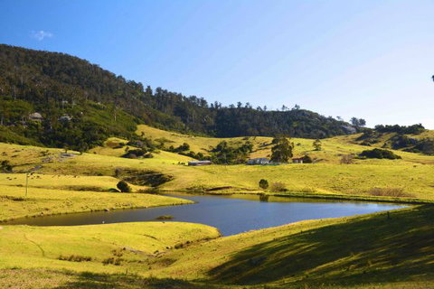 Tilba Coastal Retreat - Tourism Gold Coast 7