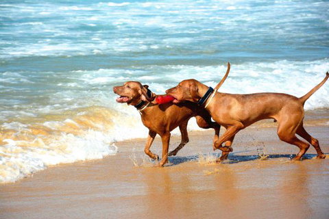 Tilba Coastal Retreat - Tourism Gold Coast 8