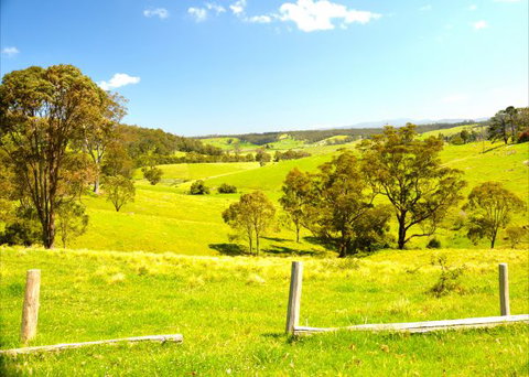 Tilba Coastal Retreat - Tourism Gold Coast 9