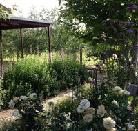 Wandana Bed and Breakfast - Tourism Gold Coast