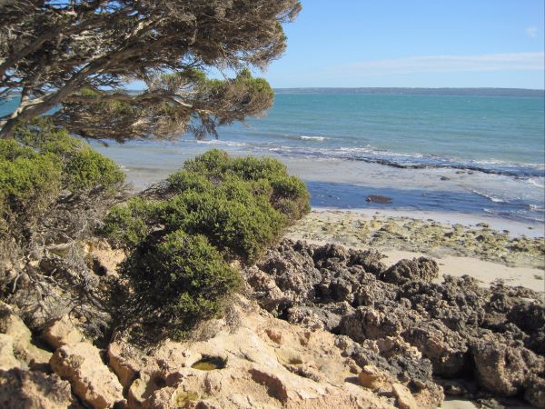 Browns Beach SA Tourism Gold Coast