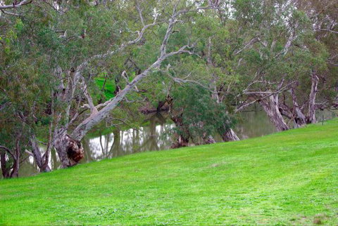 Yalooka Farm - Tourism Gold Coast 4
