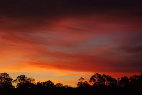 Yalooka Farm - Tourism Gold Coast 5