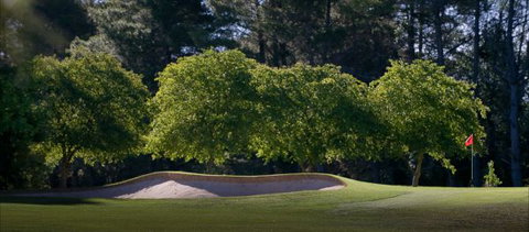 Yowani Country Club - Tourism Gold Coast 4