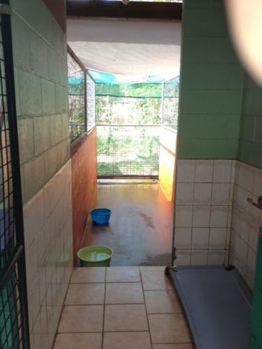 Hillcrest Pet Resort - Tourism Gold Coast 1