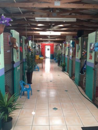 Hillcrest Pet Resort - Tourism Gold Coast 0