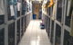 Hillcrest Pet Resort - thumb 2