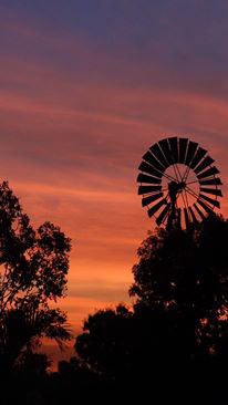 Emerald Springs Roadhouse - Tourism Gold Coast 9