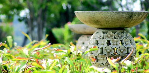 Ballina Palms Boutique Motel - Tourism Gold Coast 2