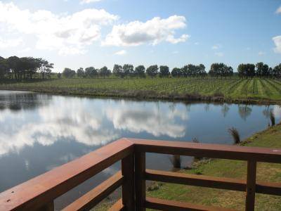 Bettenay's Lakeside Loft Spa Apartment - Tourism Gold Coast 1