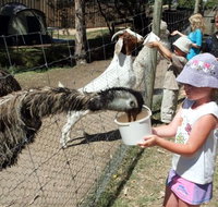 BIG4 Bairnsdale Holiday Park - Tourism Gold Coast