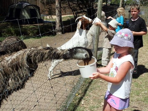 BIG4 Bairnsdale Holiday Park - Tourism Gold Coast 0