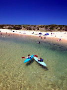 Ingleside NSW Tourism Gold Coast