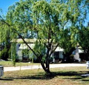 Blue Topaz Caravan Park  Camping Ground - Tourism Gold Coast