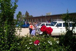 Back Plains QLD Tourism Gold Coast