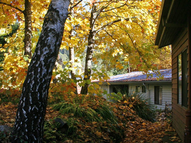 Bogong VIC Tourism Gold Coast