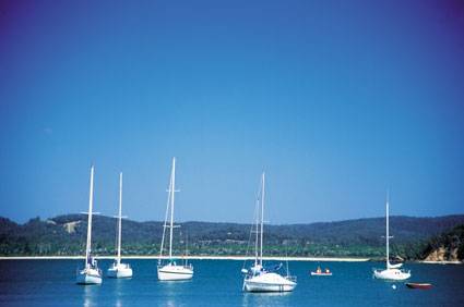 Boydtown Caravan & Camping Park - Tourism Gold Coast 2