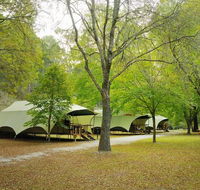 Buchan Caves Reserve - Tourism Gold Coast
