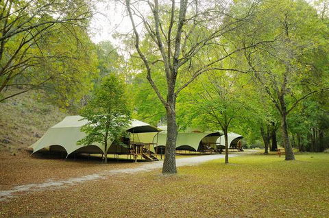 Buchan Caves Reserve - Tourism Gold Coast 0