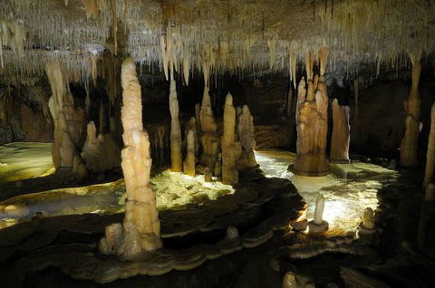 Buchan Caves Reserve - Tourism Gold Coast 3
