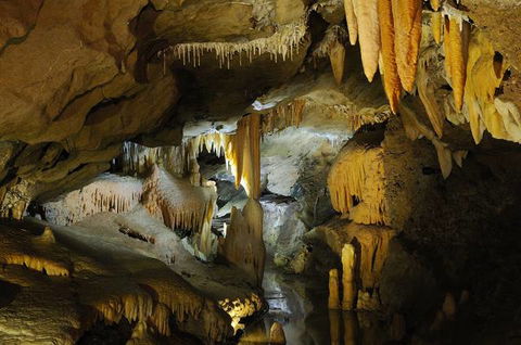 Buchan Caves Reserve - Tourism Gold Coast 4