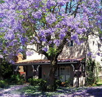 Callam Court - Tourism Gold Coast