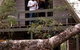 Caves Road Chalets - thumb 0