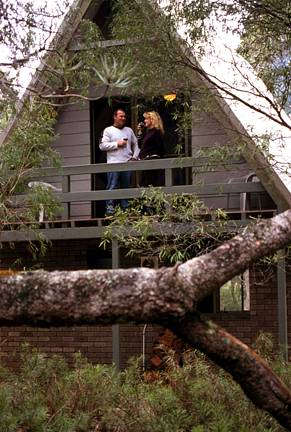Caves Road Chalets - Tourism Gold Coast 0