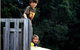 Caves Road Chalets - thumb 5