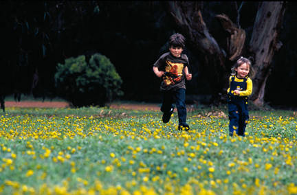 Caves Road Chalets - Tourism Gold Coast 3
