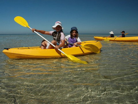 Ceduna Shelly Beach Caravan Park - Tourism Gold Coast 4