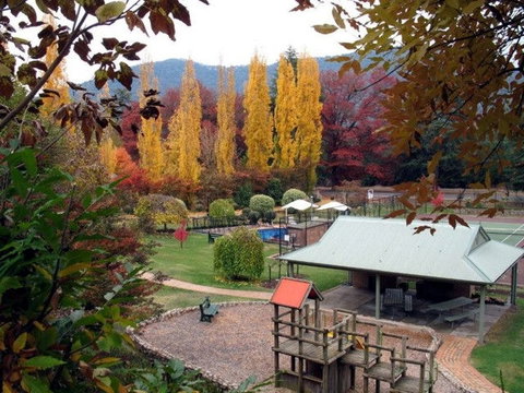 Chestnut Tree Holiday Units - Tourism Gold Coast 1