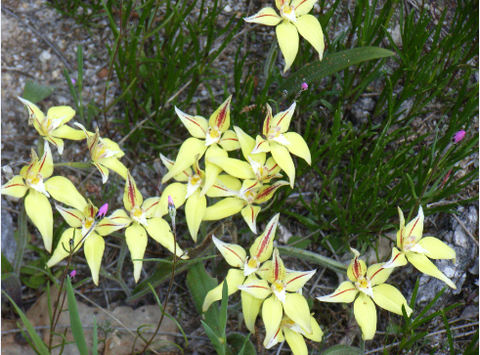 Chuckem Farmstay And Bed & Breakfast - Tourism Gold Coast 2